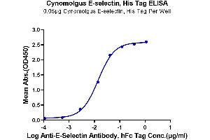 Immobilized Cynomolgus E-selectin, His Tag at 0. (Selectin E/CD62e Protein (AA 22-554) (His tag))