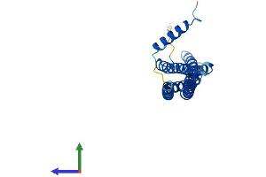 AlphaFold protein structure predicition of Mouse Recombinant Bin3 Protein, UniprotID Q9JI08 (BIN3 Protein (AA 1-253) (His tag))
