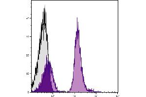 C57BL/6 mouse splenocytes were stained with Mouse Anti-Mouse CD19-APC/CY7. (CD19 Antikörper  (APC-Cy7))