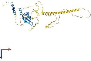 RDBP Protein (AA 1-380) (His tag)