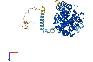 KCNAB1 Protein (AA 1-419) (His tag)