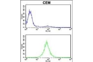 Flow Cytometry (FACS) image for anti-Proteasome (Prosome, Macropain) 26S Subunit, Non-ATPase, 7 (PSMD7) (AA 6-34), (N-Term) antibody (ABIN389456)