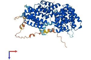 TTC39B Protein (AA 1-617) (His tag)