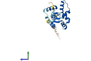 Protein Structure (PS) image for Myosin, Light Chain 12B, Regulatory (MYL12B) (AA 1-172) protein (His tag) (ABIN7557059)