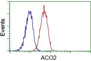 Image no. 2 for anti-Aconitase 2, Mitochondrial (ACO2) antibody (ABIN1496410) (ACO2 Antikörper)