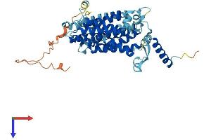 CDS2 Protein (AA 1-444) (His tag)