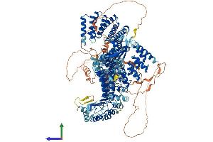 Protein Structure (PS) image for Tonsoku-Like, DNA Repair Protein (NFKBIL2) (AA 1-1363) protein (His tag) (ABIN7564071)