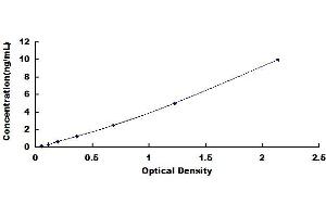 Typical standard curve (RHOA ELISA Kit)