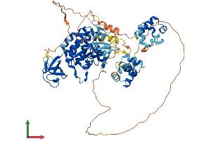 Protein Structure (PS) image for Tyrosine Kinase, Non-Receptor, 1 (TNK1) (AA 1-666) protein (His tag) (ABIN7544613)