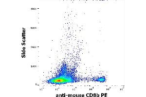 Flow cytometry surface staining pattern of murine splenocyte suspension stained using anti-mouse CD8b (H35-17. (CD8B Antikörper  (PE))