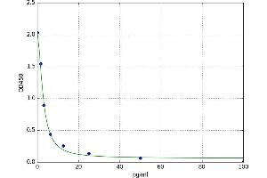 Free Thyroxine T4 (fT4) ELISA Kit