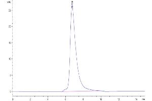 Size-exclusion chromatography-High Pressure Liquid Chromatography (SEC-HPLC) image for Tumor Necrosis Factor Receptor Superfamily, Member 1B (TNFRSF1B) (AA 23-257) protein (His tag) (ABIN7275756)