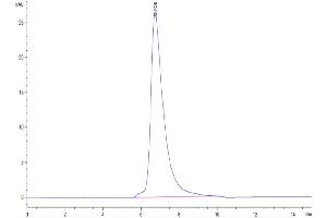 The purity of Cynomolgus TNFR2 is greater than 95 % as determined by SEC-HPLC. (TNFRSF1B Protein (AA 23-257) (His tag))