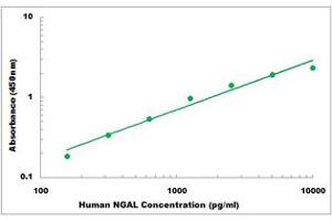 Representative Standard Curve