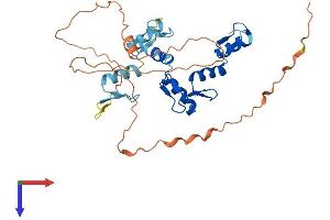 GFI1B Protein (AA 1-330) (His tag)