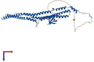 PACSIN1 Protein (AA 1-441) (His tag)