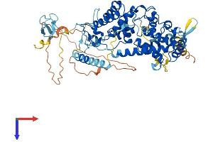 TAF1B Protein (AA 1-586) (His tag)