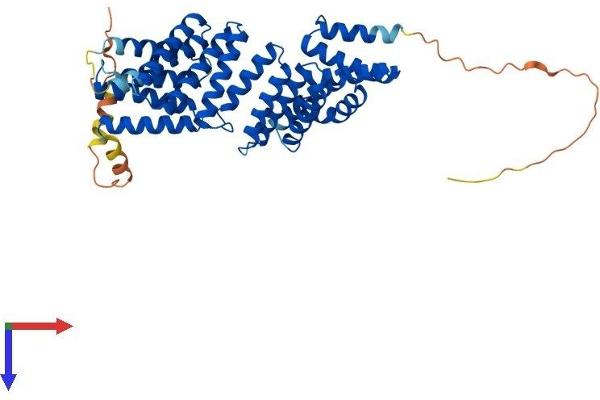TTC23 Protein (AA 1-447) (His tag)