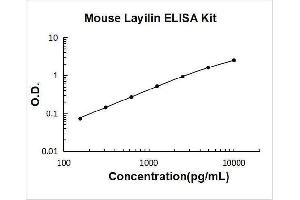 Layilin (LAYN) ELISA Kit