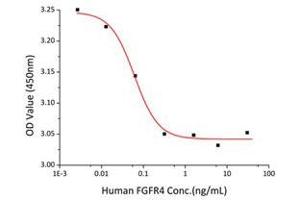 Activity Assay (AcA) image for Fibroblast Growth Factor Receptor 4 (FGFR4) (AA 22-369) (Active) protein (His-Fc tag) (ABIN7607382)