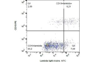 Flow cytometry analysis (surface staining) of human peripheral blood with anti-human lambda light chain (4C2) APC. (Lambda-IgLC Antikörper  (APC))