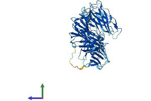 Protein Structure (PS) image for Dopamine beta-Hydroxylase (Dopamine beta-Monooxygenase) (DBH) (AA 1-617) protein (His tag) (ABIN7547155)