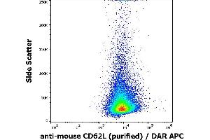 Flow cytometry surface staining pattern of murine splenocytes stained using anti-mouse CD62L (Mel-14) purified antibody (concentration in sample 4 μg/mL, DAR APC).