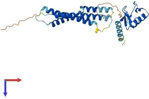 NSMCE2 Protein (AA 1-247) (His tag)