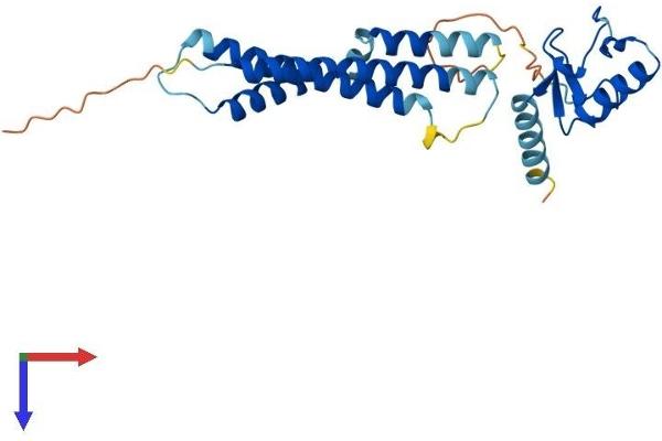 NSMCE2 Protein (AA 1-247) (His tag)