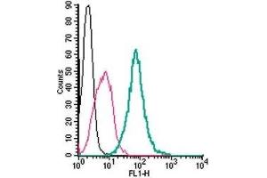 Cell surface detection of GPR55 in live intact mouse J774 macrophage cells: (black line) Cells. (GPR55 Antikörper  (Extracellular) (FITC))