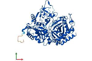 AlphaFold protein structure predicition of Human Recombinant PCK1 Protein, UniprotID P35558 (PCK1 Protein (AA 1-622) (His tag))