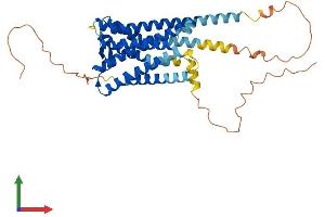 AlphaFold protein structure predicition of Mouse Recombinant Ptger1 Protein, UniprotID P35375 (PTGER1 Protein (AA 1-405) (His tag))