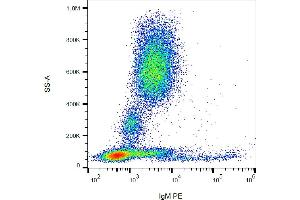 Flow cytometry analysis (surface staining) of human peripheral blood cells with anti-human IgM (CH2) PE. (Maus anti-Human IgM Antikörper (PE))