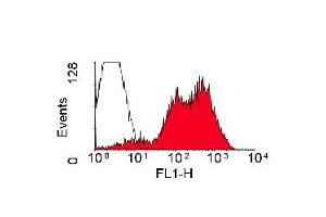 Staining of rat spleen cells with Mouse anti Rat RT1B (Class II Monomorphic): FITC (ABIN118331). (MHC Class II RT-1B Antikörper  (FITC))