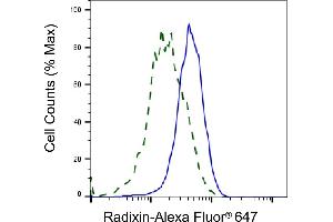 Validation of Radixin knockdown using flow cytometry.