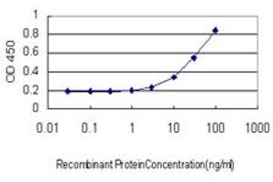 Detection limit for recombinant GST tagged DLD is approximately 1ng/ml as a capture antibody. (DLD Antikörper  (AA 1-509))