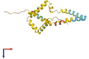 AlphaFold protein structure predicition of Human Recombinant C19orf12 Protein, UniprotID Q9NSK7