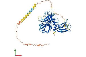Protein Structure (PS) image for Transmembrane Protease, serine 5 (TMPRSS5) (AA 1-457) protein (His tag) (ABIN7544496)