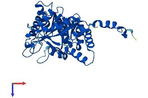 ALAD Protein (AA 1-330) (His tag)