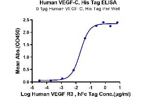 ELISA image for Vascular Endothelial Growth Factor C (VEGFC) (AA 103-227) protein (His-Avi Tag) (ABIN7275829)