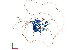 Protein Structure (PS) image for Inositol-Trisphosphate 3-Kinase C (ITPKC) (AA 1-678) protein (His tag) (ABIN7558285)
