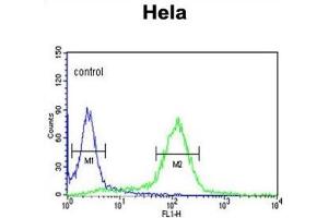 Flow Cytometry (FACS) image for anti-Stress-Induced-phosphoprotein 1 (STIP1) antibody (ABIN3001648)