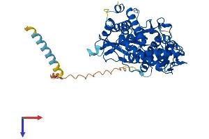ACPL2 Protein (AA 1-480) (His tag)
