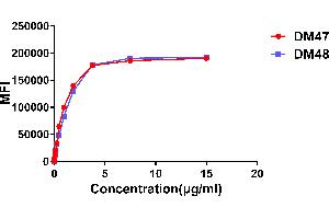 Image no. 1 for anti-Angiotensin I Converting Enzyme 2 (ACE2) (AA 18-740) antibody (ABIN6964048) (Rekombinanter ACE2 Antikörper  (AA 18-740))