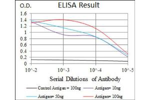ELISA image for anti-Chemokine (C-C Motif) Ligand 2 (CCL2) antibody (ABIN1846382)