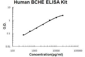 Human BCHE PicoKine ELISA Kit standard curve