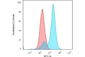 Flow Cytometry (FACS) image for anti-Collagen, Type VII, alpha 1 (COL7A1) antibody (ABIN6939168)