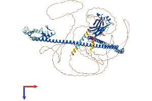 TRIM37 Protein (AA 1-961) (His tag)