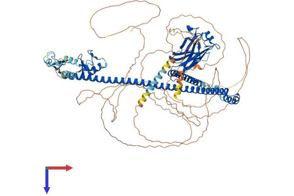 TRIM37 Protein (AA 1-961) (His tag)