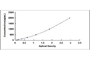 BMP4 ELISA Kit